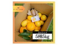 マーマレード入り季節の柑橘詰め合わせ5kgいろんな種類が一箱に詰まった楽しいみかんBox＜先行受付＞【1657124】