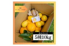 マーマレード入り季節の柑橘詰め合せ10kgいろんな種類が一箱に詰まった楽しいみかんBox＜先行受付＞【1657125】