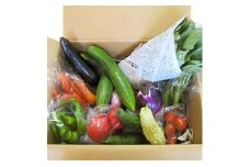 ＜愛川ブランド＞自然農法の「季節のおまかせ野菜セット」【1004445】