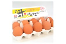 ＜愛川ブランド＞お米たまご10kg　140個+割れ保証10個前後=計150個前後【1052307】