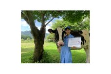 牧場のおしごと体験　1名様分　～牛のお世話をしてみよう!～【1483866】