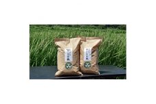 令和6年産「牛さんのお米」はるみ　6kg(3kg×2袋)【1350016】