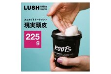 LUSH ラッシュ スカルプトリートメント 現実頭皮 ハンドメイドコスメ_LUSH ラッシュ スカルプトリートメント スカルプ トリートメント ミント 頭皮ケア 頭皮 スカルプケア 美容 コスメ 日用品 贈答 ギフト プレゼント 神奈川県 送料無料【1550094】