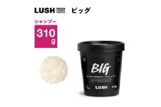 LUSH ラッシュ ビッグ リキッドシャンプー 310g スカルプケア シーソルト【1640981】