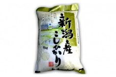 特別栽培コシヒカリ　5kg