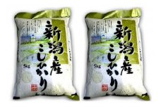 特別栽培コシヒカリ　10kg