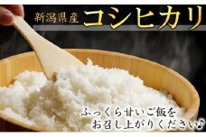 カガヤキ農園 特別栽培米コシヒカリ10kg 米 精米 白米 コシヒカリ こめ コメ お米 おこめ こしひかり 新潟 新潟県特別栽培農産物認証取得 特別栽培米 新潟県