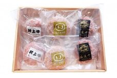新潟県産和牛・雪室熟成黄金豚の手づくりハンバーグ食べ比べセット