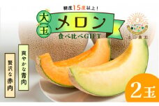 太田農園メロン“GIFT”赤肉メロン＆青肉メロンセット（各1玉ずつ） 2025年 先行予約 メロン セット 赤肉 赤肉メロン 青肉 青肉メロン 高級 果物 フルーツ デザート 新潟 夏フルーツ　