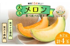 太田農園メロン“GIFT”赤肉メロン＆青肉メロンセット（各2玉ずつ） 2025年 先行予約 メロン セット 糖度 赤肉 青肉 高級 果物 フルーツ おやつ デザート 新潟 夏フルーツ