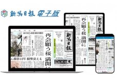 新潟日報電子版　3カ月