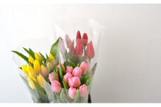 フラワーファームしろねのチューリップ切花30本（黄・赤・ピンク　各10本）