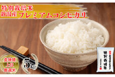 特別栽培米 新潟産コシヒカリ白米 5kg