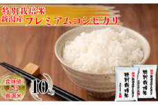 特別栽培米 新潟産コシヒカリ白米 10kg（5kg×2）