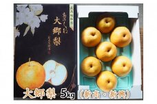 大郷梨 5kg（新高・新興） 梨 新高梨 新興梨 詰め合わせ セット 和梨 なし ナシ 新高 新興 フルーツ 果物 デザート おやつ ギフト 贈答 プレゼント 国産 新潟
