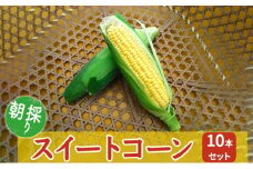 朝採りスイートコーン 10本セット