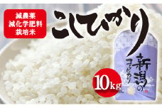 栽培期間中減農薬・減化学肥料栽培米 こしひかり10kg