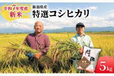 新潟県産 コシヒカリ 5kg 米 精米 白米 こめ コメ お米 おこめ こしひかり 新潟 新潟県 