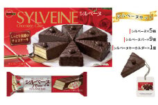 ブルボン　シルベーヌセット 数量限定 お菓子 詰め合わせ セット シルベーヌ スイーツ 菓子 おやつ デザート チョコ チョコレート チョコケーキ キーホルダー 新潟　