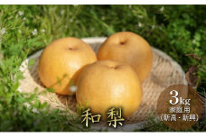 和梨 3kg 家庭用（新高・新興）