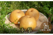 和梨 5kg 家庭用（新高・新興）