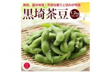 くろさき茶豆1.2kg 2025年 先行予約 枝豆 野菜 つまみ おつまみ えだまめ エダマメ 新潟