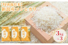 【特別栽培米】新潟産コシヒカリ 3kg×3