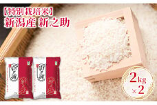 【特別栽培米】新潟産新之助 2kg×2