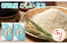 新潟産こしいぶき 5kg×2