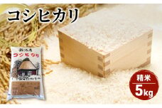 【令和6年産】コシヒカリ精米5kg「従来品種」