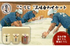 “こうじ“三味合わせセット 調味料 料理 調理 味付け 和食 日本食 玉ねぎ麹 醤油こうじ 塩こうじ 