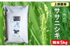 新潟産自然栽培ササニシキ精米　5kg