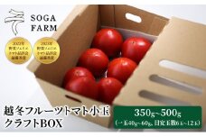 【2025年6月発送】SOGA FARM　越冬フルーツトマト小玉　クラフトBOX 2025年 先行予約 トマト 野菜 フルーツトマト 高糖度 とまと 新潟