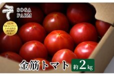【2025年6月発送】SOGA FARM　金筋トマト 2025年 先行予約 トマト 野菜 とまと 新潟	