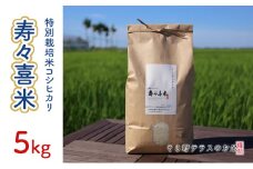 特別栽培米コシヒカリ 寿々喜米 5kg（精米） 特別栽培米 コシヒカリ 米 お米 こめ コメ おこめ 新潟　