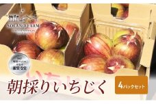 そら野テラスの朝採りいちじく 4パックセット