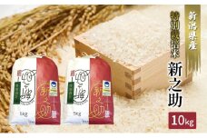 【カガヤキ農園】特別栽培米　新之助10kg(5kg×2)