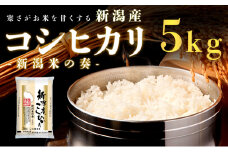 【令和7年新米予約】新潟産コシヒカリ 5kg 米 精米