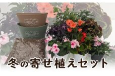 冬の寄せ植えセット