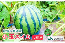 新潟市南浜産　小玉スイカ　3玉入