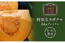 特別なカボチャ ikkaプレミアム【8月-9月発送】