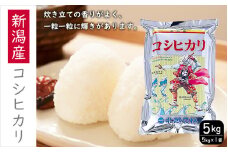 こしひかり 新潟産コシヒカリ 5kg 米 お米 こめ コメ ごはん 新潟 米 白米 コシヒカリ ブランド米 銘柄米 お取り寄せ 産地直送