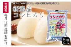 こしひかり 新潟産 コシヒカリ 5kg 毎月12回 連続でお届けします。定期便 米 お米 こめ コメ ごはん 新潟 白米 コシヒカリ ブランド米 銘柄米 お取り寄せ 産地直送