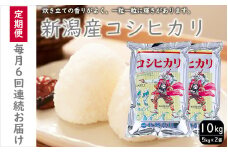 こしひかり 新潟産 コシヒカリ 10kg 毎月6回 連続でお届けします。定期便 米 お米 こめ コメ ごはん 新潟 白米 コシヒカリ ブランド米 銘柄米 お取り寄せ 産地直送