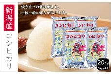 こしひかり 新潟産 コシヒカリ 20kg 米 お米 こめ コメ ごはん 新潟 白米 コシヒカリ ブランド米 銘柄米 お取り寄せ 産地直送