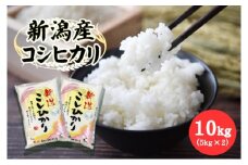 新潟産コシヒカリ10kg （5kg×2） 米 お米 こしひかり 精米 新潟