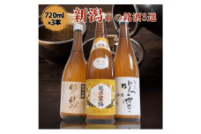 日本酒 飲み比べセット 越後銘門酒会 新潟市の銘酒 飲み比べ 720ml×3本 （越乃寒梅 越乃風雪 越路吹雪）N723A 新潟 セット 辛口 ギフト 正月 年越し