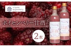 ボイセンベリー甘酒2本入り ベリー 甘酒 糀 新潟県 新潟市 美容 健康