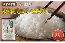 令和6年産 米杜氏コシヒカリ10kg(5kg×2)  新潟県産 新潟米  精米 米