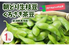 朝どり生枝豆 くろさき茶豆1kg 新潟県黒埼産 新潟市 枝豆 えだまめ えだ豆 茶豆